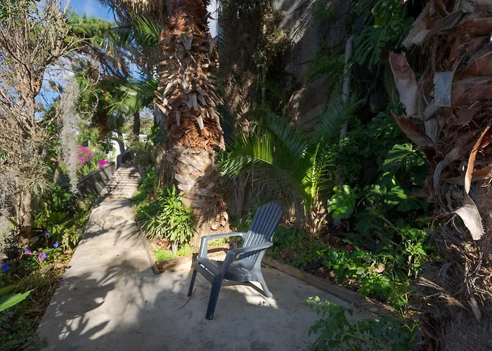 A Porta Neves 丰沙尔